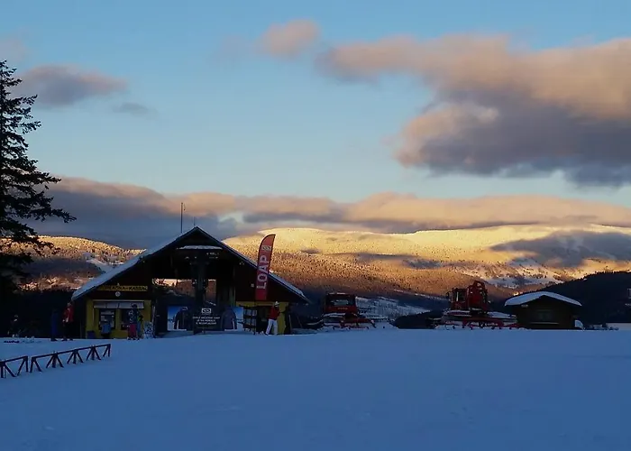 Penzion šachty